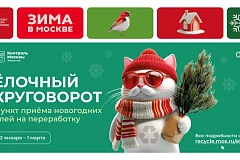 Эколого-просветительская акция «Ёлочный круговорот»